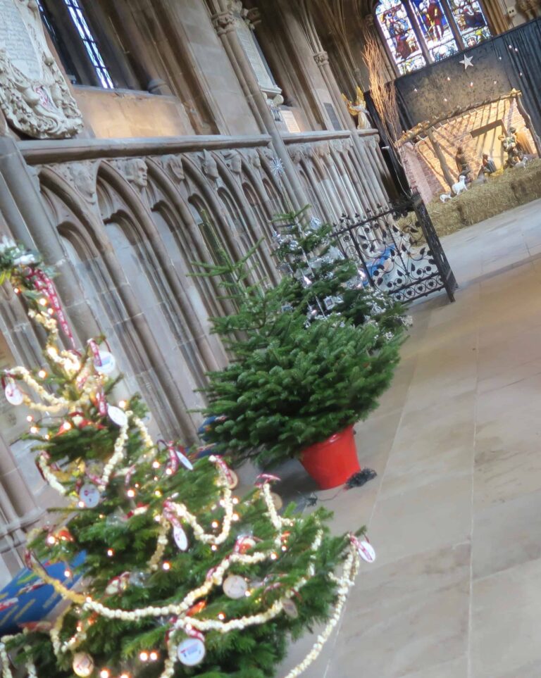 LICHFIELD CATHEDRAL CHRISTMAS TREE FESTIVAL 2016 Charity Sweets by